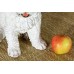 Статуэтка собаки "Вест-хайленд-уайт-терьер" 31 см полистоун