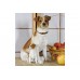 Статуэтка собаки "Джек-рассел-терьер с щенком" 32 см полистоун