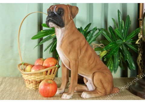 Статуэтка собаки "Боксер" 36 см полистоун